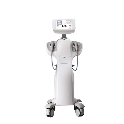 High Intensity Focused Ultrasound Hifu Perawatan Vaginals Rejuvenation Vaginas Tightening Machine